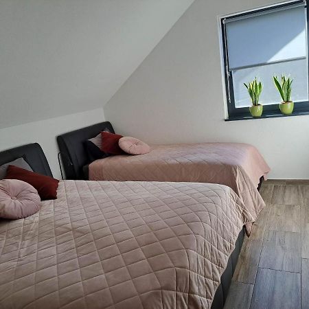 Apartmaji Tisa In Zana Rovte Eksteriør billede