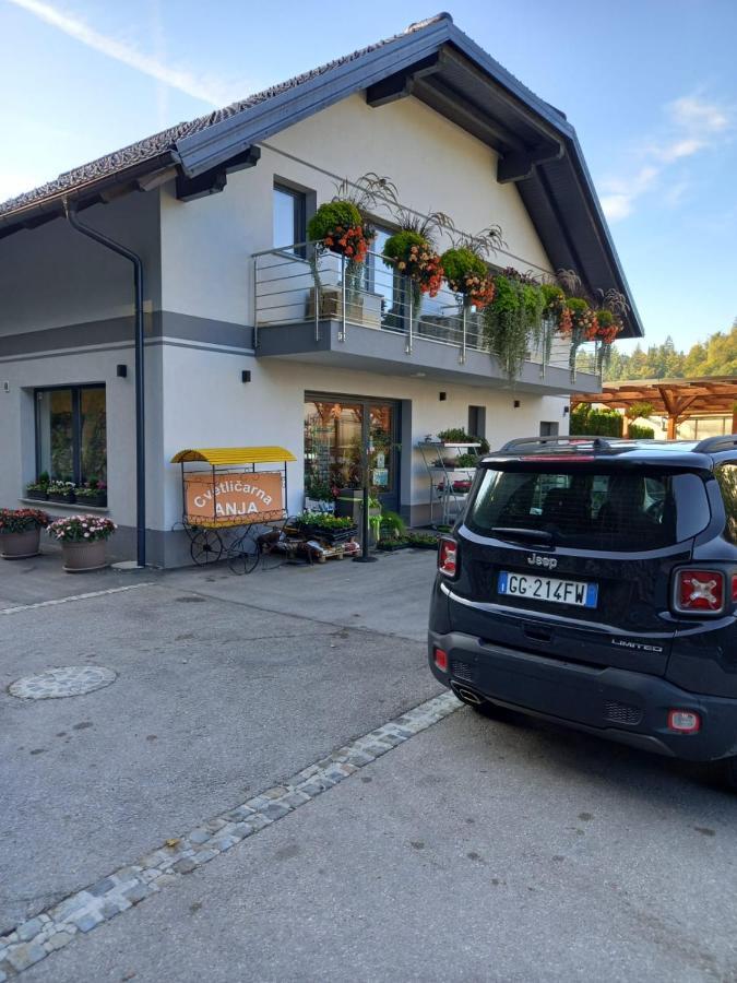 Apartmaji Tisa In Zana Rovte Eksteriør billede