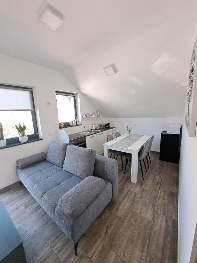 Apartmaji Tisa In Zana Rovte Eksteriør billede