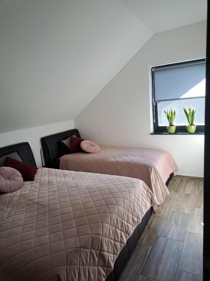 Apartmaji Tisa In Zana Rovte Eksteriør billede
