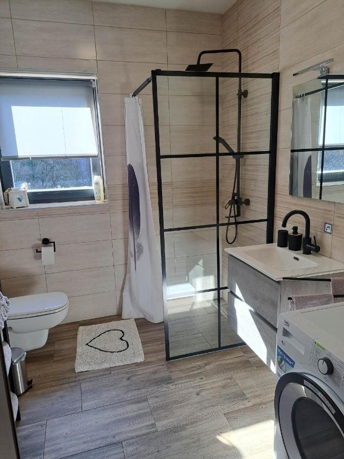 Apartmaji Tisa In Zana Rovte Eksteriør billede