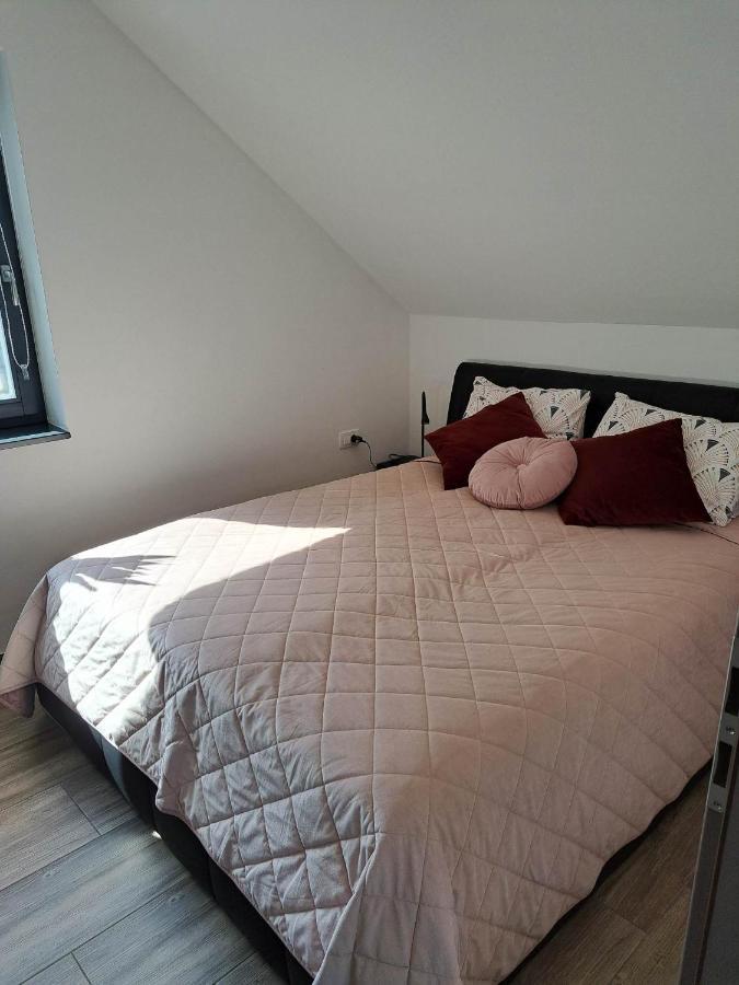 Apartmaji Tisa In Zana Rovte Eksteriør billede