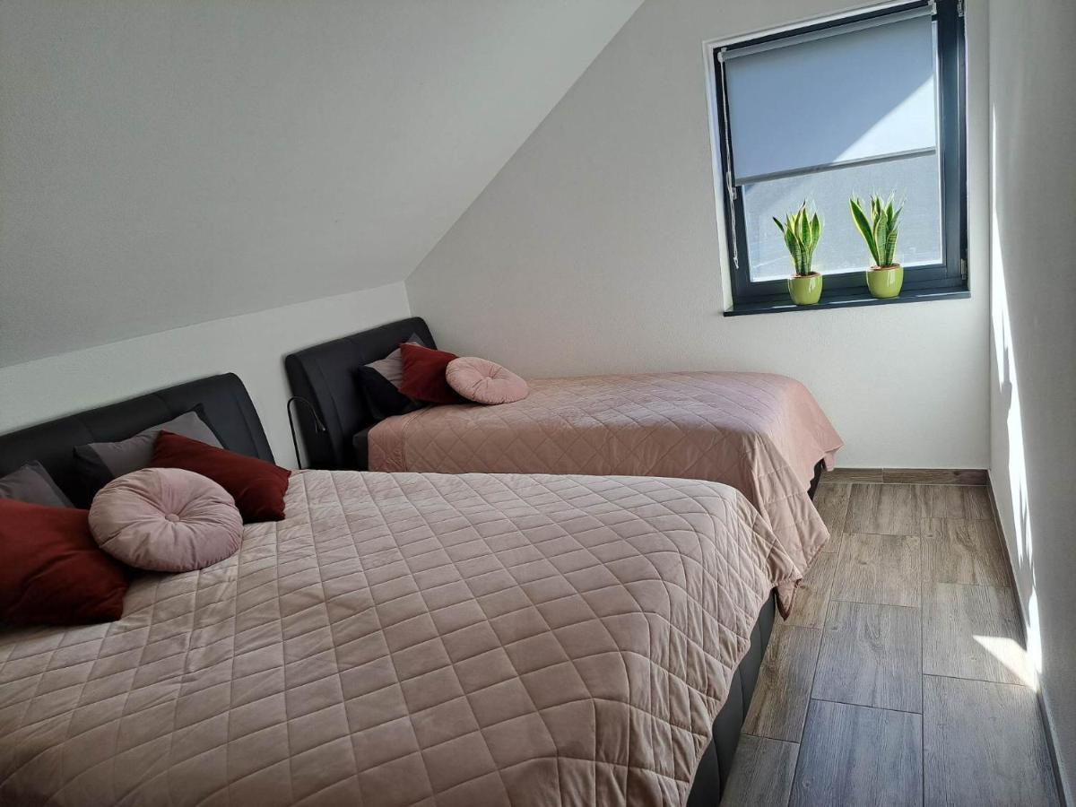 Apartmaji Tisa In Zana Rovte Eksteriør billede